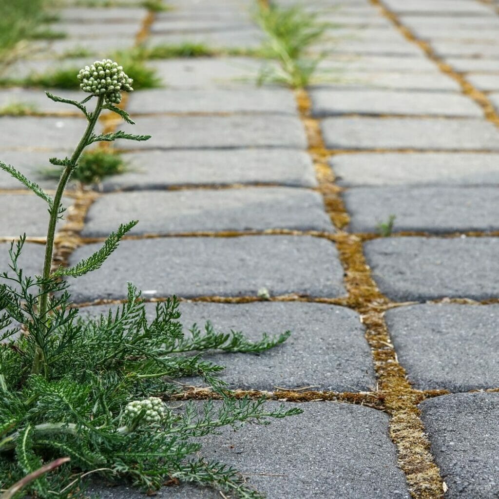 How do you stop your patio from being slippery?