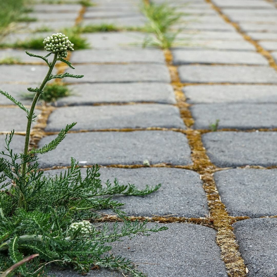 How do you stop your patio from being slippery?