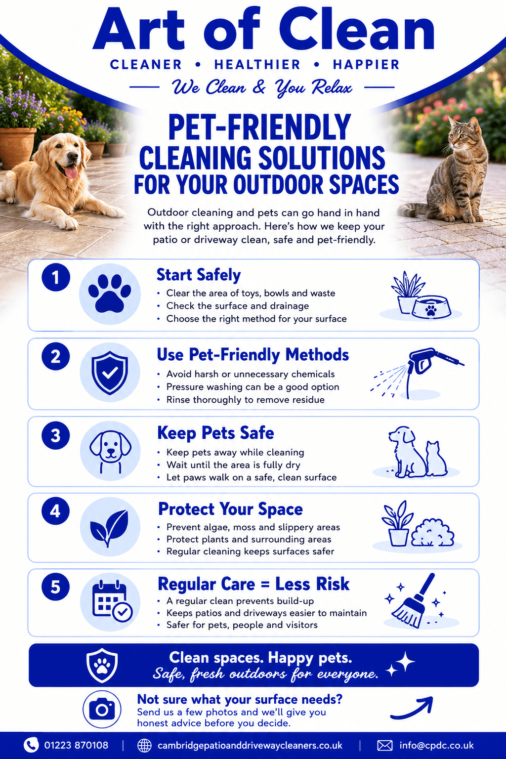 Pet-Friendly Cleaning Solutions for Your Outdoor Spaces info graphic